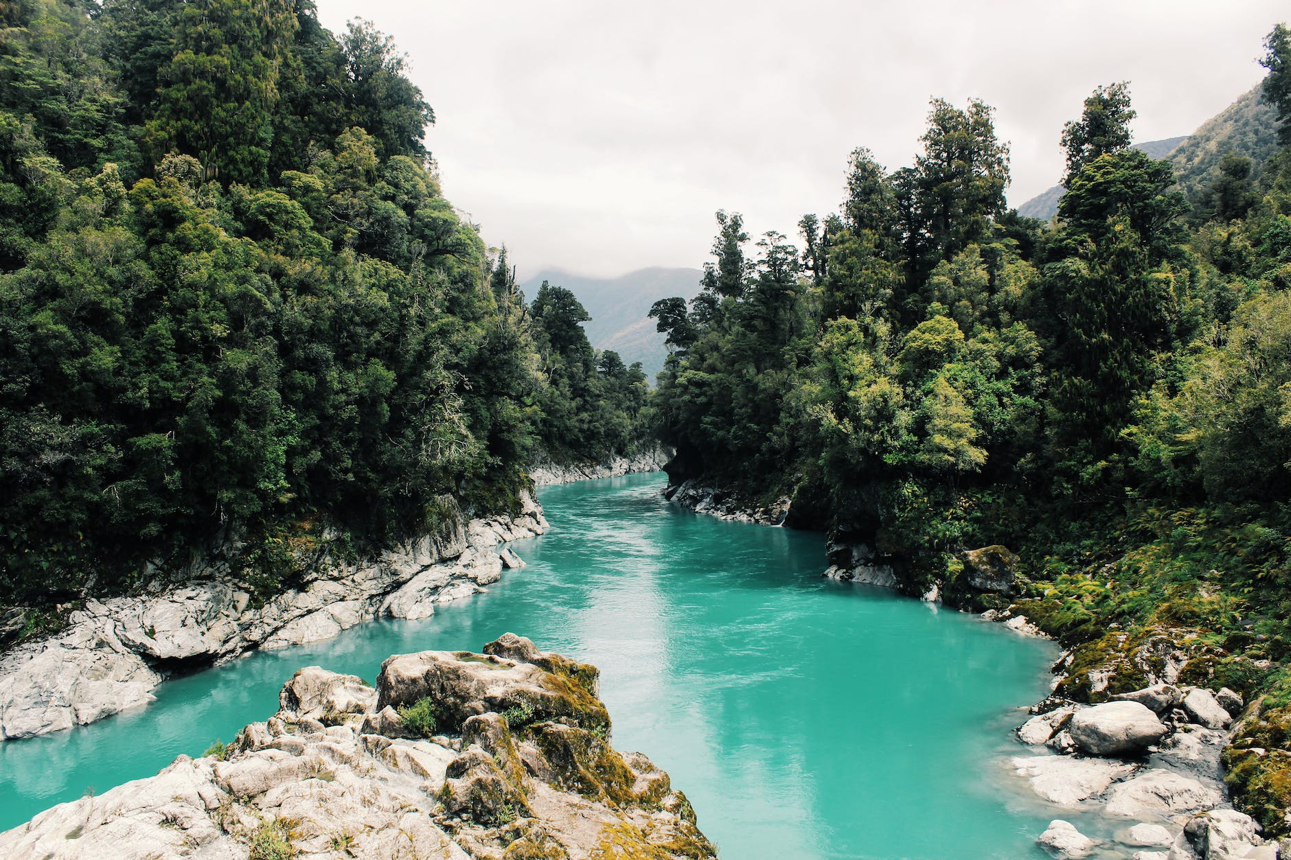 scenic view of river